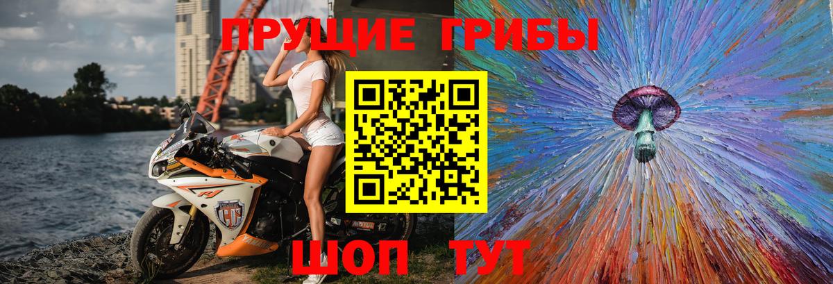 Галлюциногенные грибы Cubensis Россия