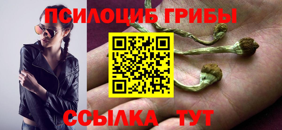 Псилоцибиновые грибы мухоморы  Вход с VPN  как найти закладки  Россия 