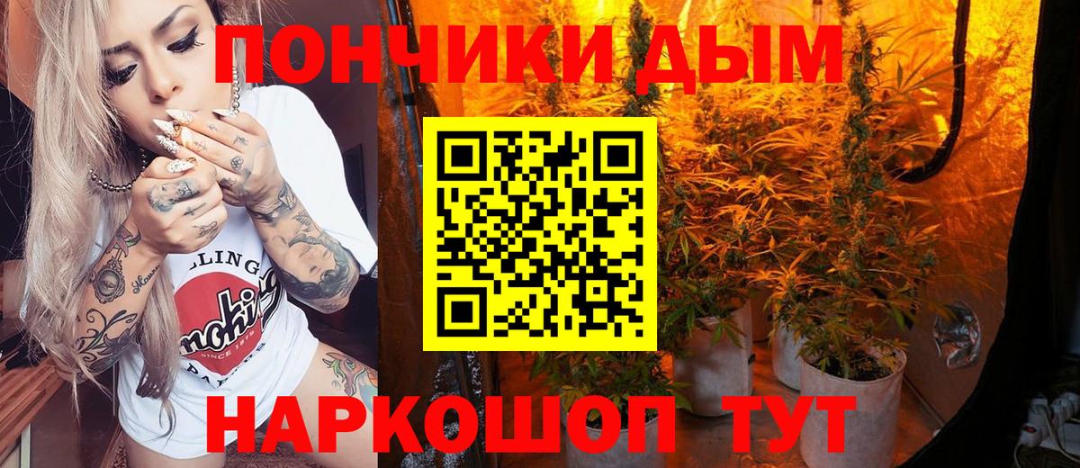 Каннабис SATIVA & INDICA Россия